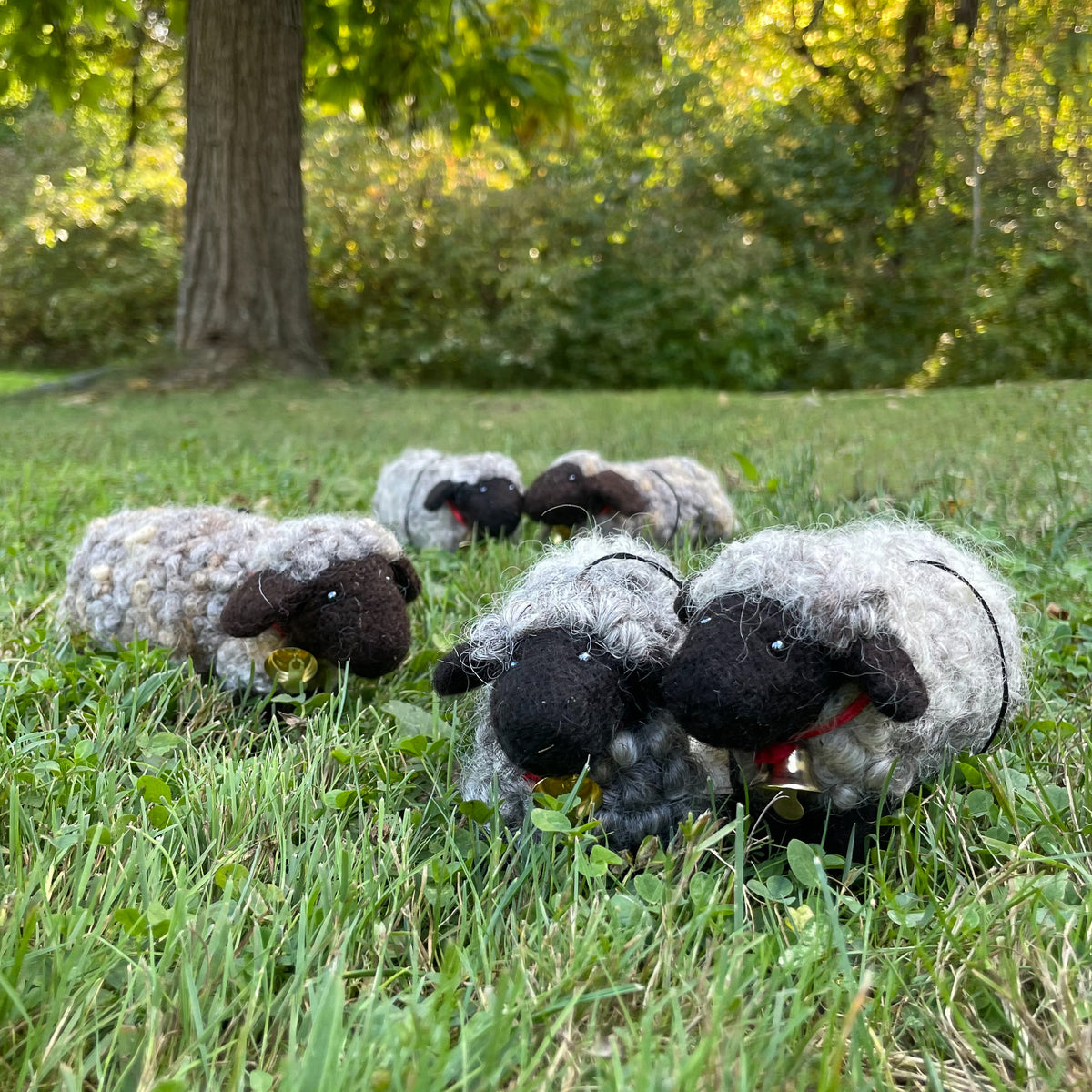 Several gray felted wool sheep standing in grass